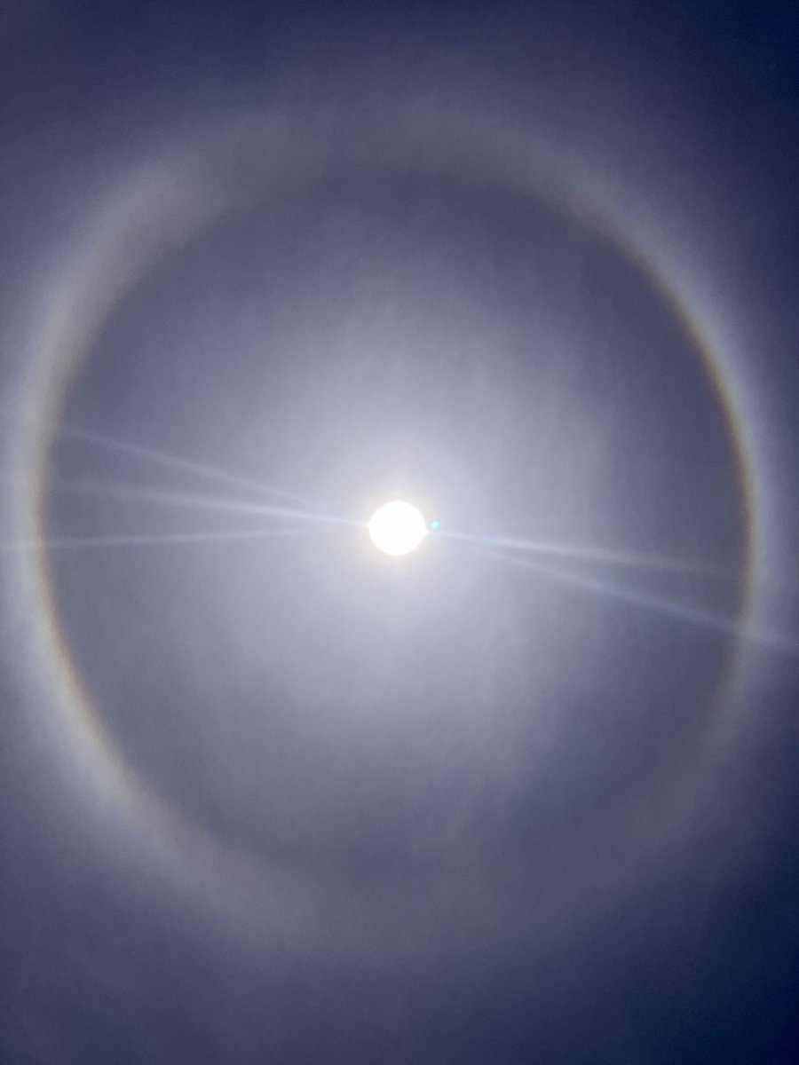 尾畑ばたお tweet media