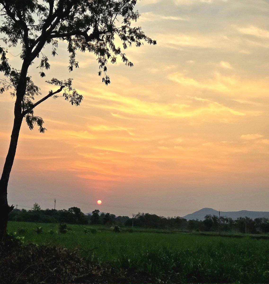 prestine_pearls's tweet image. Good morning सातारा ❤️

#sunrise