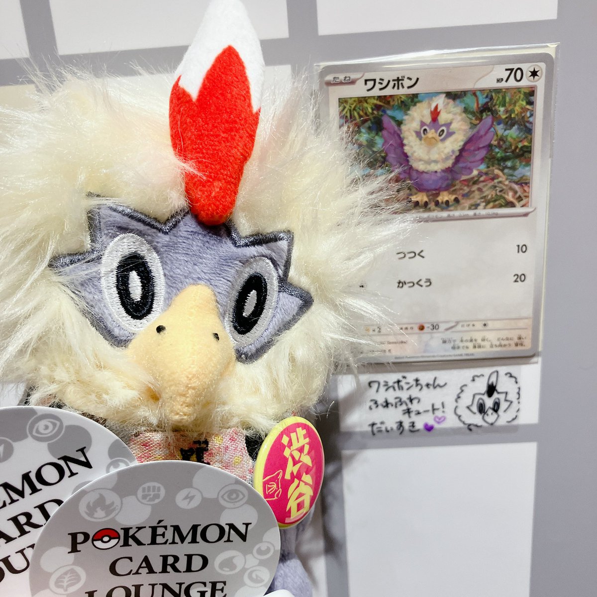washibon627_20's tweet photo. ポケカラウンジ2周年おめでとうございます！
今年もぼんちゃん寄贈させて頂きました😆
埋まるの楽しみねー！

今年のボードはタイプ別なので、タイプの枠があいてればポケモン被りあっても良いそうです！
ボード内の位置も選べるよ！

#ポケカラウンジ
#推しポケカコレクション https://t.co/knsf3JaJgM