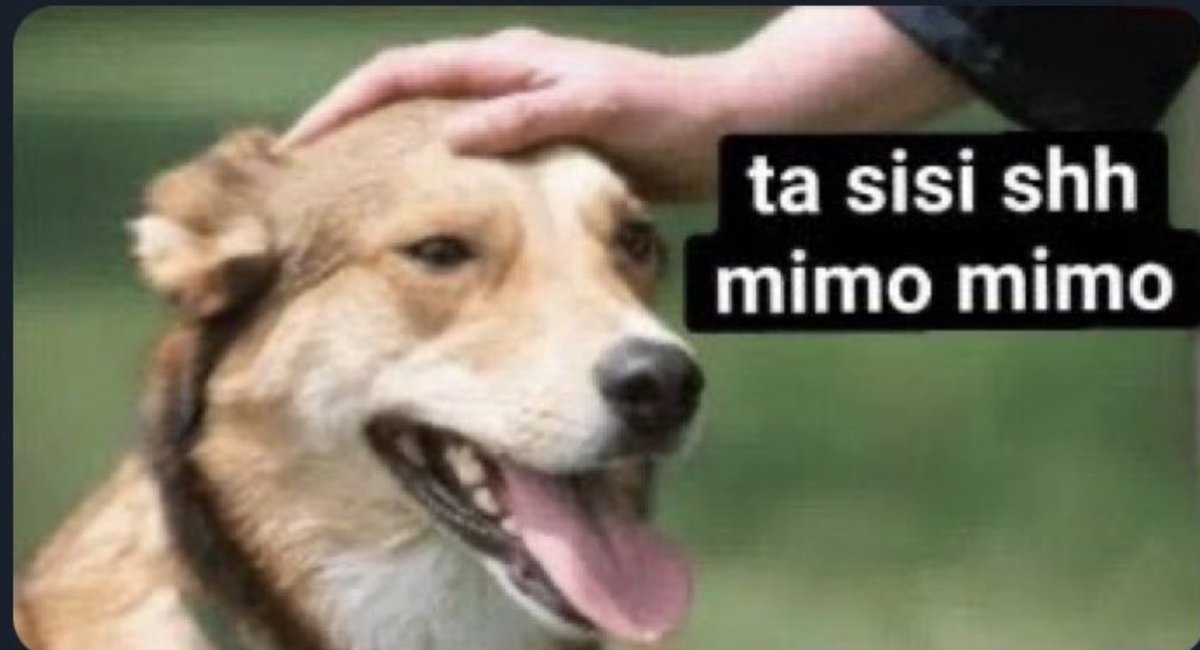 Quemero🎈 اريك 🇱🇧 tweet media