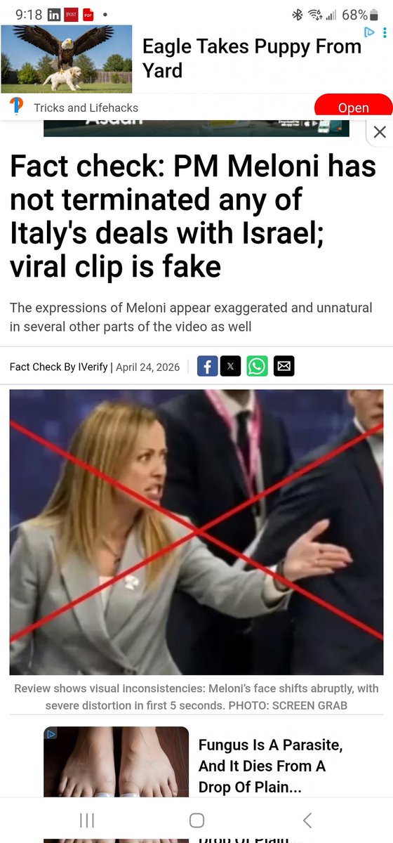 HonestSpeaker tweet media