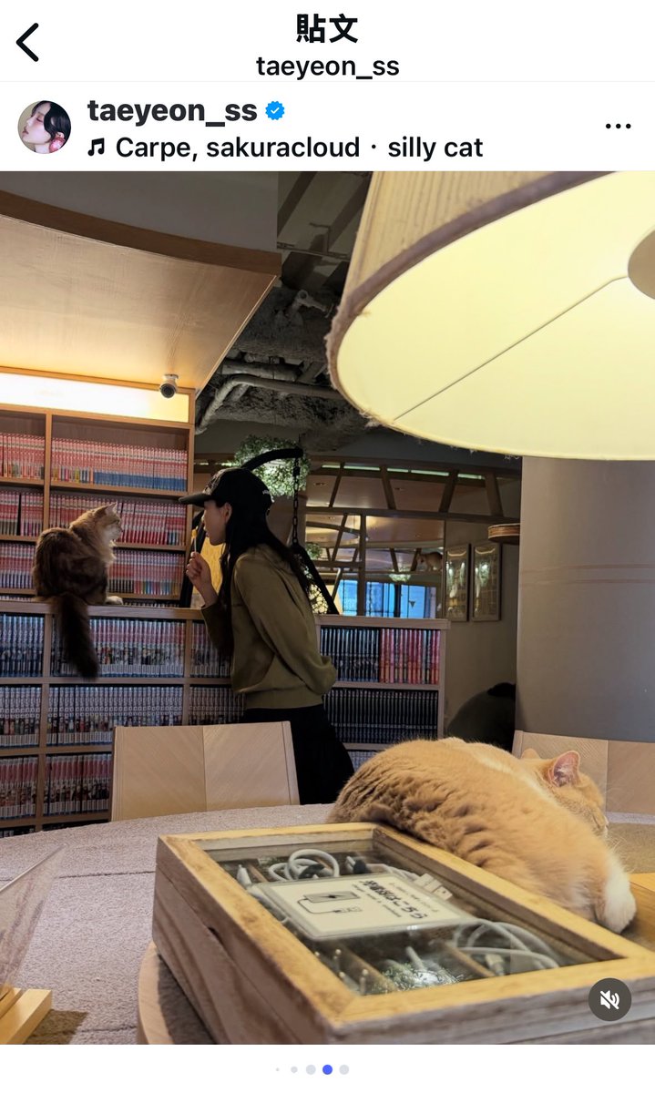 保b 보비🥚ྀི tweet media