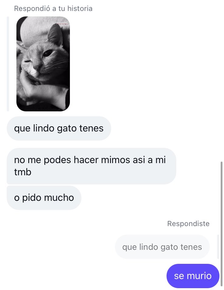 vuela alto apolo