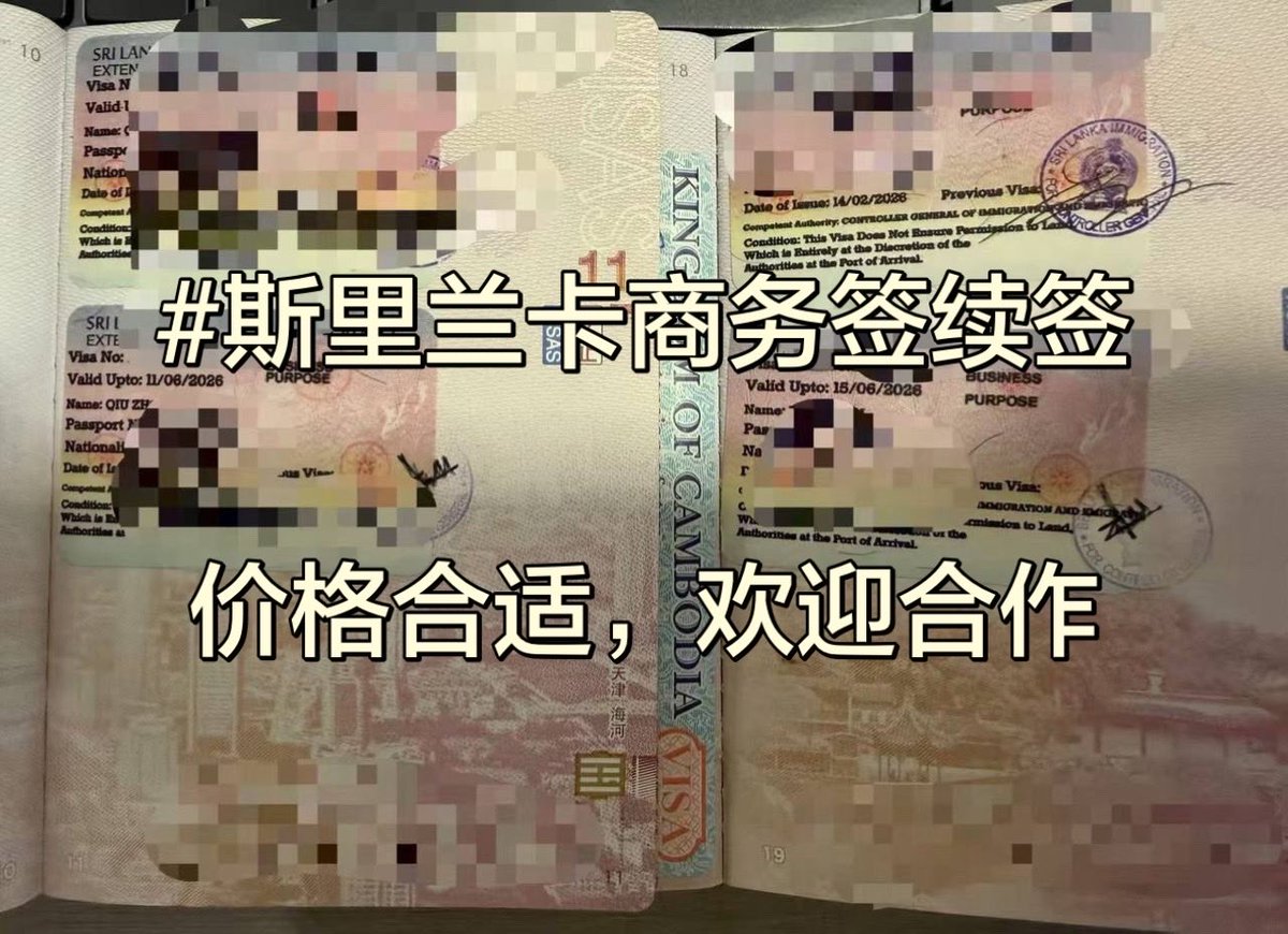 Sum~国际旅行社 tweet media