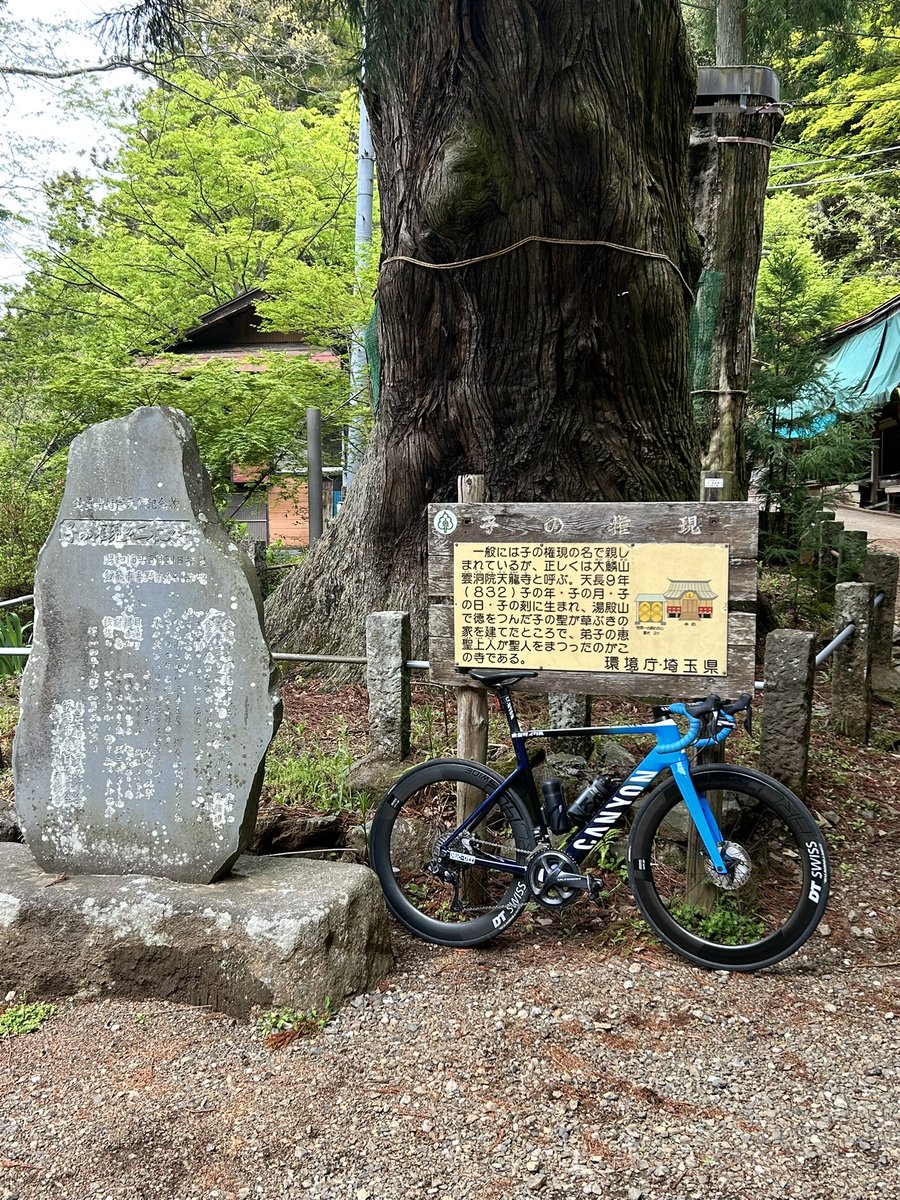 SAKAE tweet media