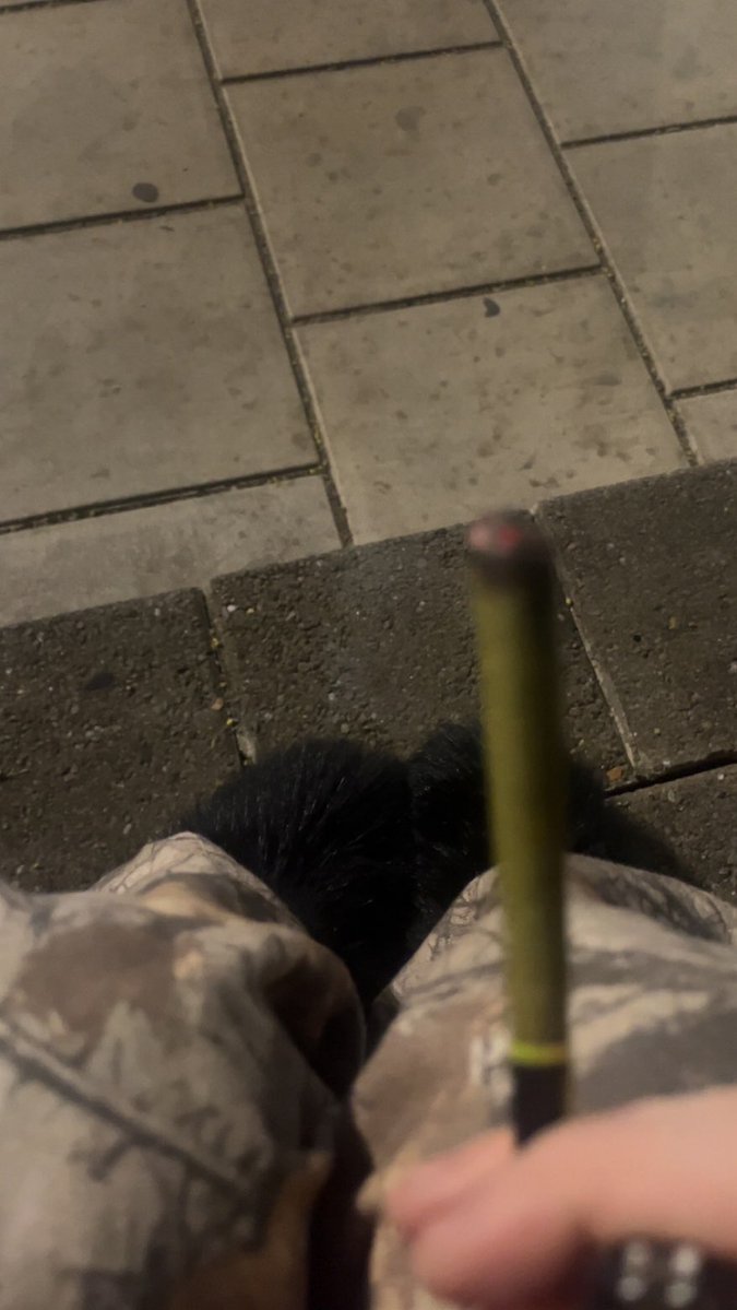 pissprincess tweet media