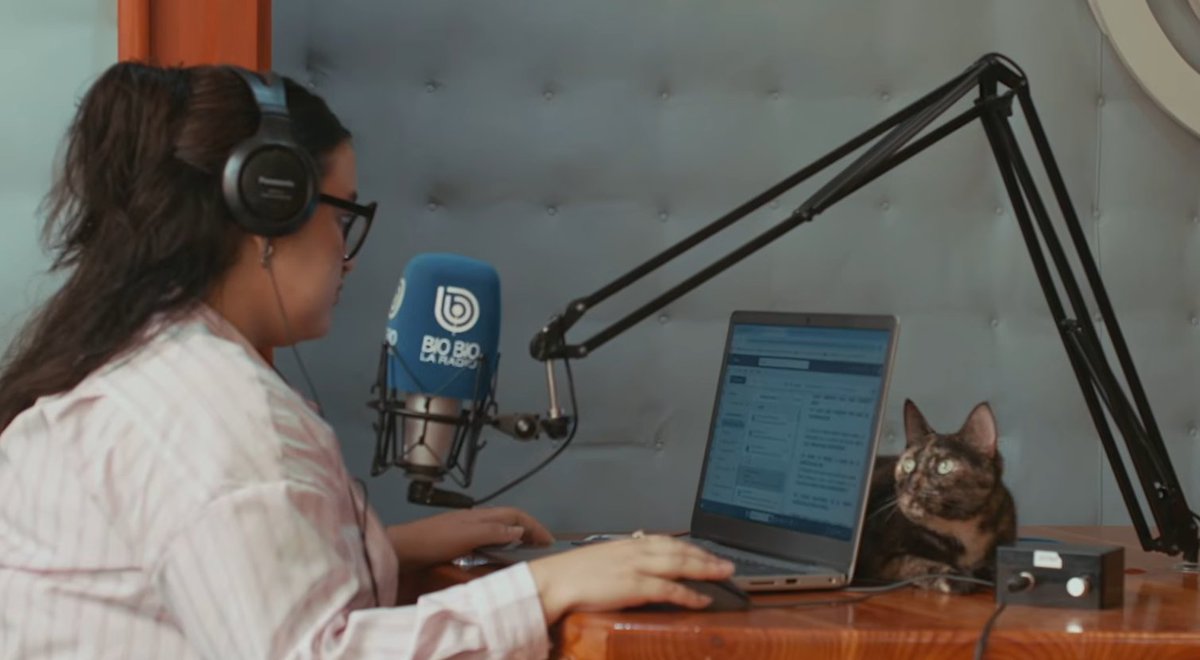 PotterSys tweet media