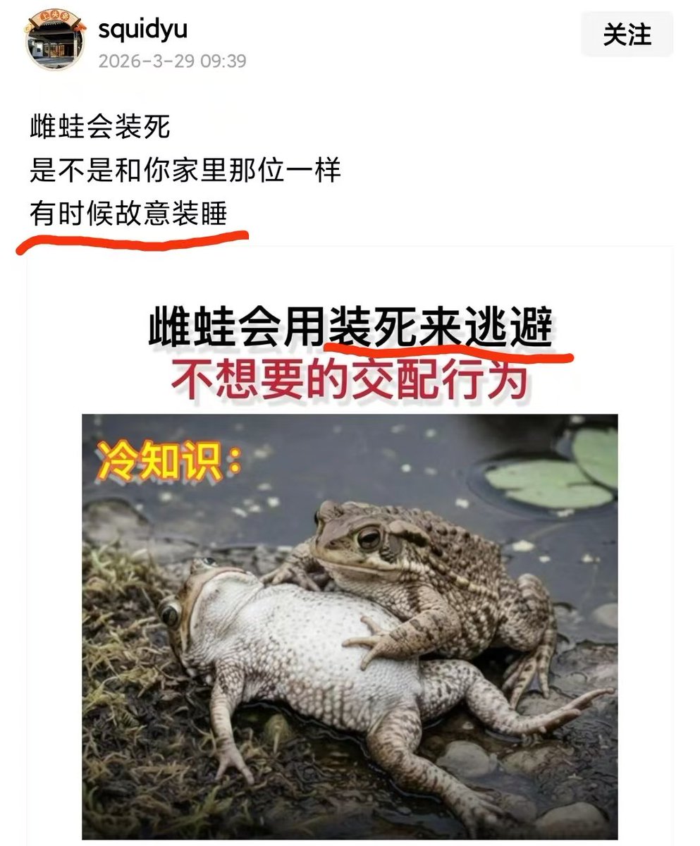 Jack☀瞳孔印温柔 tweet media