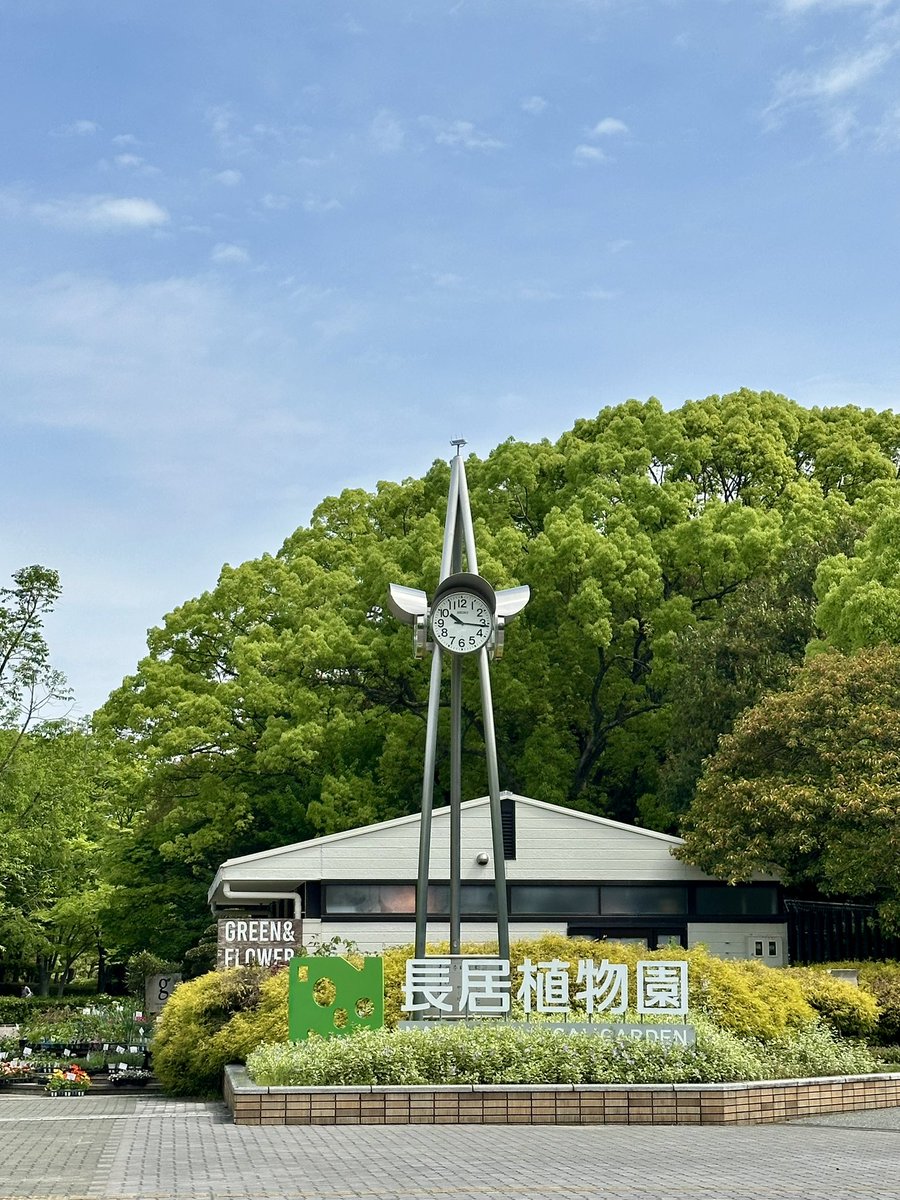 🐈‍⬛黒猫のん＆ライヤ🐈 tweet media