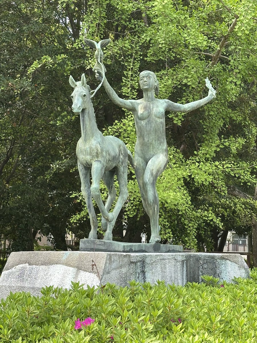 🐈‍⬛黒猫のん＆ライヤ🐈 tweet media