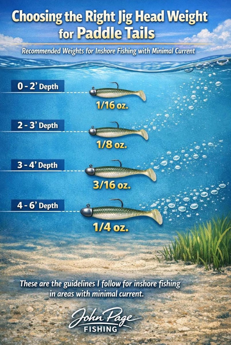 Kaoru OBryan Fishing tweet media
