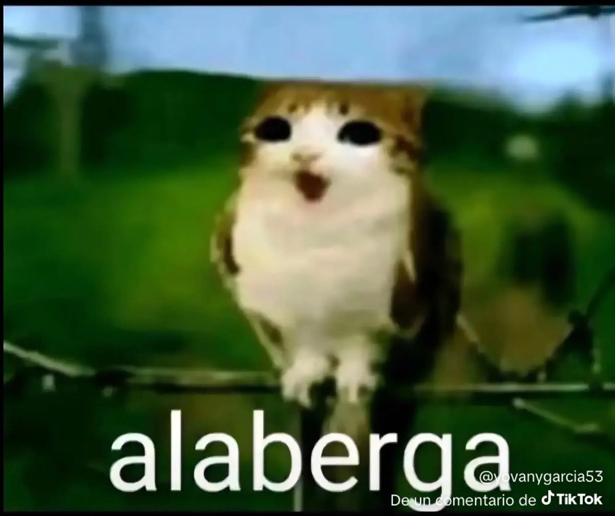 𝒰𝒻𝑜𝓈𝒶𝓊𝓇𝓊𝓈 𝒷𝒷 tweet media