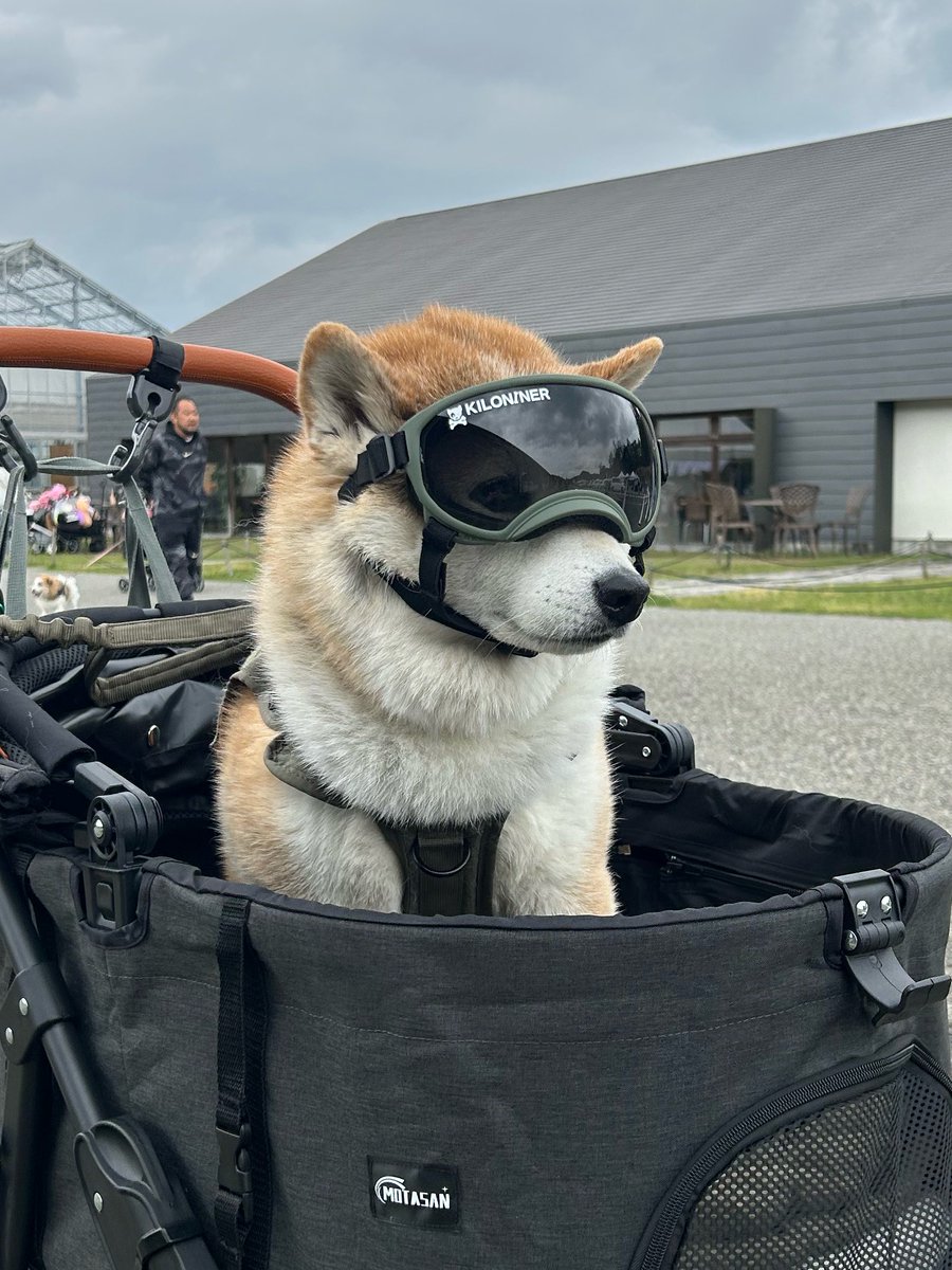 太郎空将 tweet media