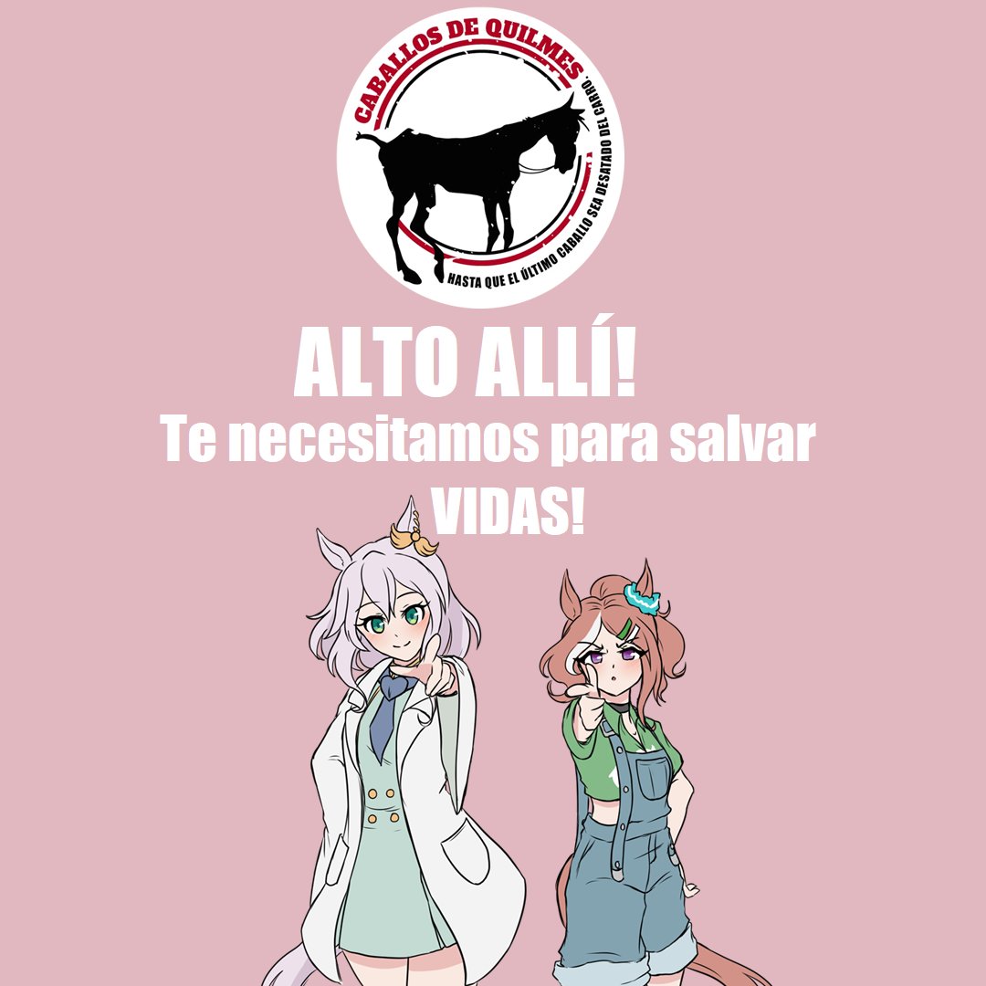 Pandy Greystone tweet media