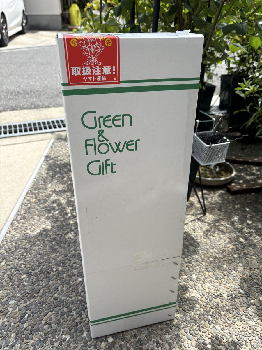 ichi_rose tweet media