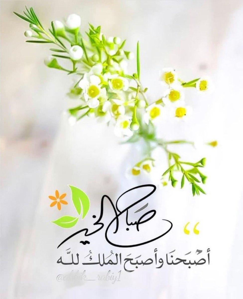 سعيد الحوسني tweet media