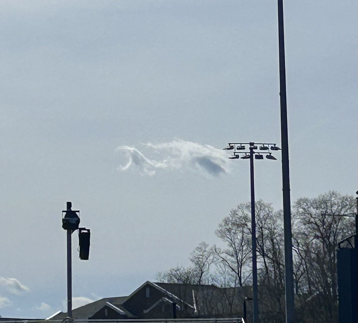 Jeremy Cruz tweet media