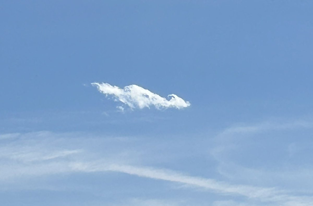 Jeremy Cruz tweet media