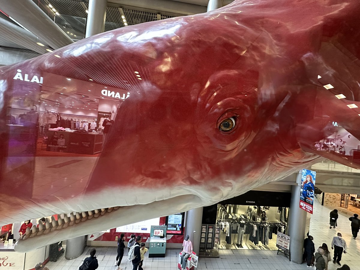 ボスリン tweet media