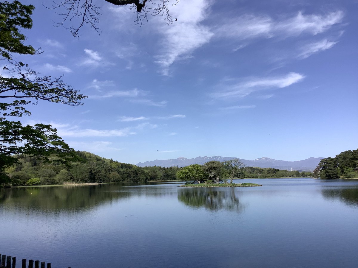 しーぽん tweet media