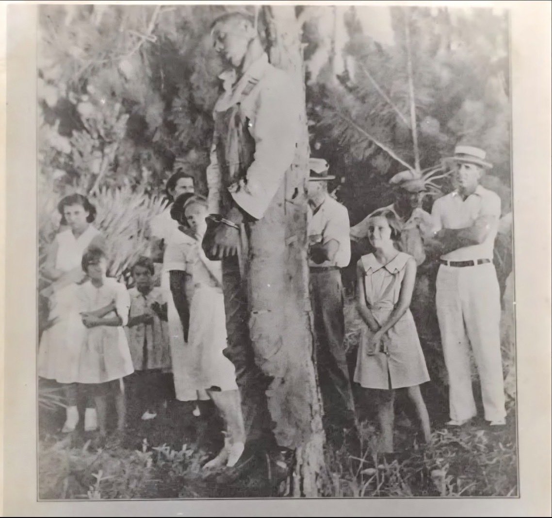 PinkSkinisadisease tweet media