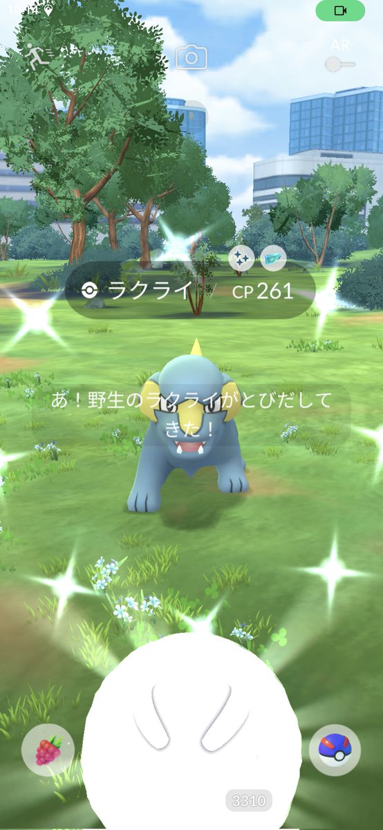 neru235🐦フェス5/29午前🐦️ tweet media