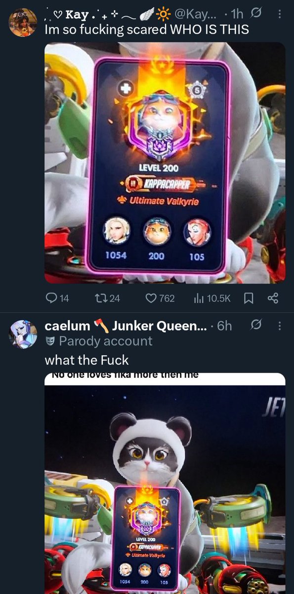 beetle 🪲 tweet media