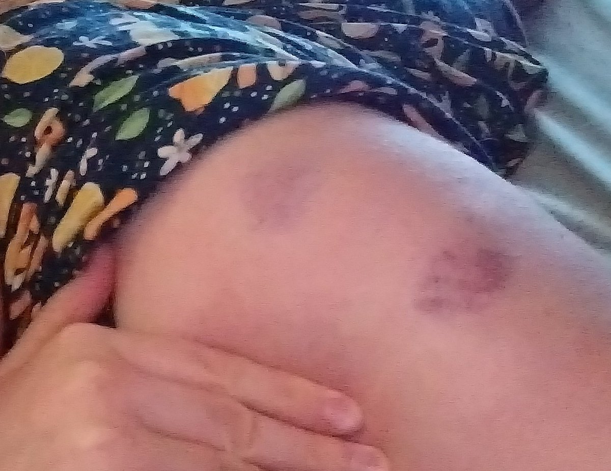 Кошковый ус tweet media