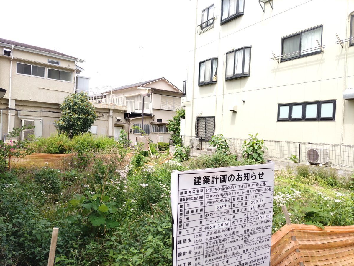 KandaMori's tweet image. 昨日のウォーキング。豪徳寺で町ダルバートを食べて環七、笹塚。買い物して帰宅。

#日記 #ウォーキング #Vlog

豪徳寺の山下商店街で三件の建て替え。何度も前を通っているのに壊す前がなんだったか思い出せない。