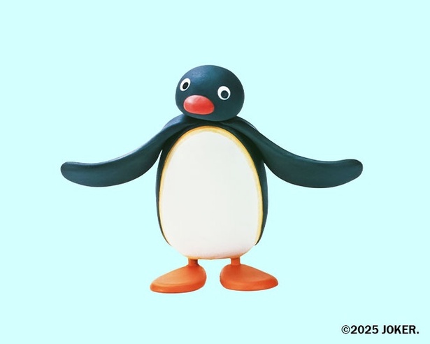 紫音☪️ tweet media