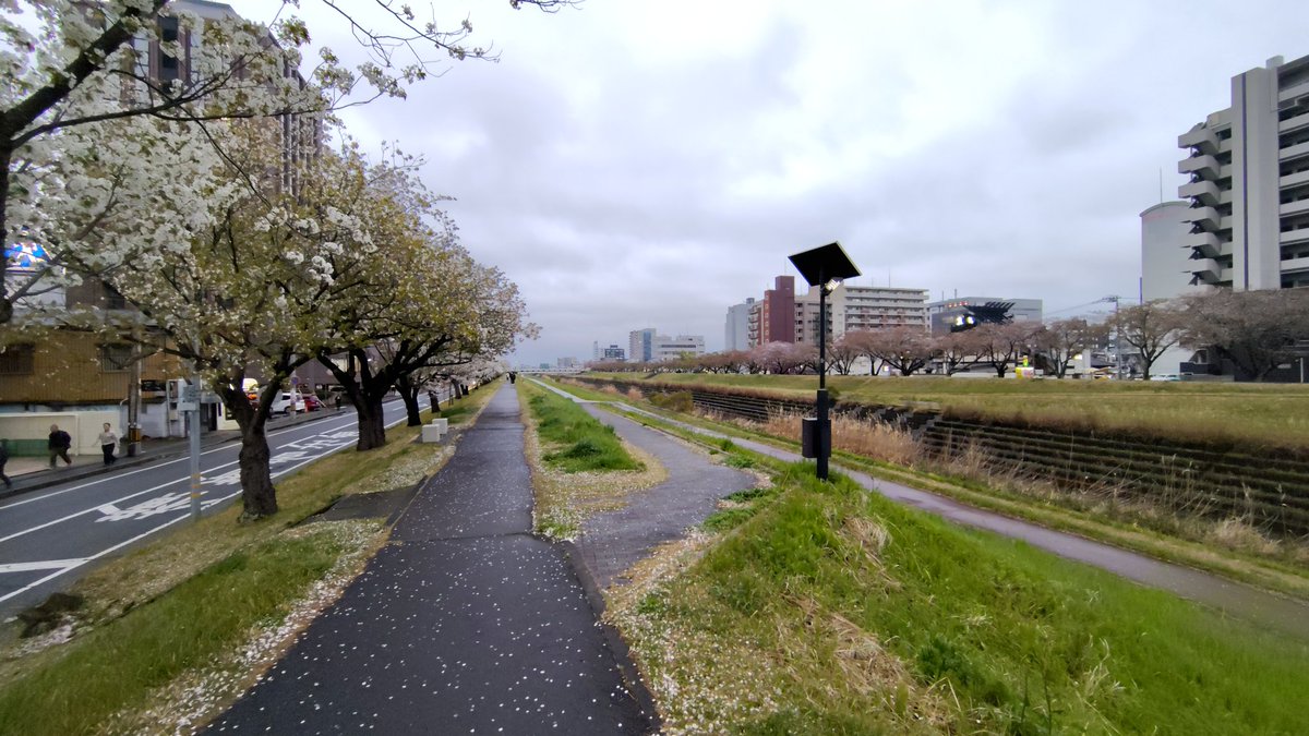 金曜日に午後休とって長岡から水戸へ
桜がちょっとだけ残ってた🌸
この日は雨だったので、いつものカラっとした関東と違って梅雨みたいな雰囲気でしたね…
#甘辛さん旅ログ