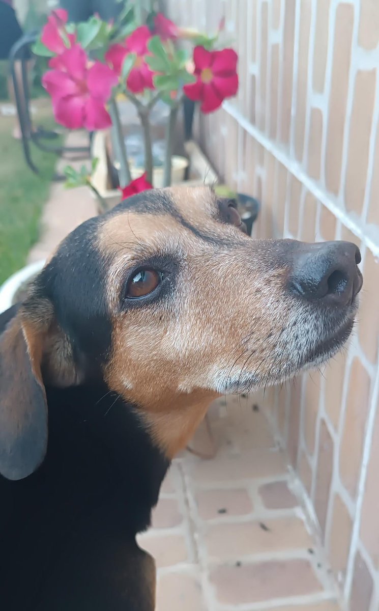 acervo sungwon🐈🐧 tweet media