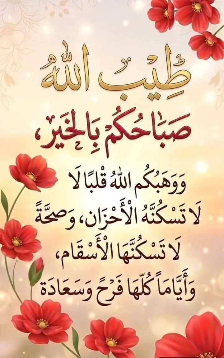 وليد الحيالي tweet media