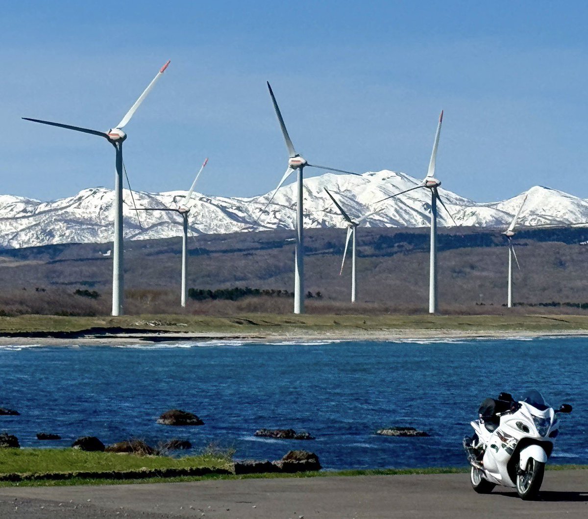 パパブサ tweet media