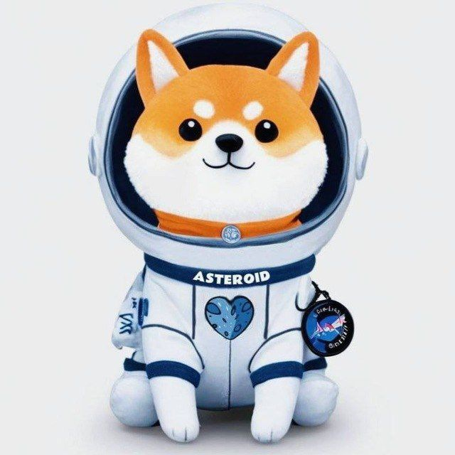monkeyd_long's tweet photo. 🚨 马斯克刚带火 ASTEROID，链上已现“酸葡萄分流潮”

SpaceX 官方吉祥物ASTEROID火了。
ETH 上的 meme 市值一度突破 2 亿美金。

但有意思的事情发生了——

有人没低价筹码，  
就开始疯狂推荐仿盘

背后的逻辑非常赤裸：
> “我没有，我就让你也别玩得安心。”
> 用自己的影响力，把流量引向自己有仓位的盘子。

这不是“社区分流”，  
这是利益驱动的流量劫持。

现在的 meme 环境，SOL 上面已经是一堆“大割”轮番表演：
- 开盘即巅峰
- 各种有组织的阴谋盘
- 群演喊单.......

meme 就是这样被玩烂的。

🔁 这一次，我们能不能不跟着走？

✔️ 抵制盲目分流  
✔️ 支持真正有共识、有文化、有出圈的标的
✔️ 不因为没上车就去另开一桌

如果你真的看好 meme 文化，  
就别让“酸葡萄心态”把这个赛道再毁一次。

不跟仿盘，不喂大割。
共识不是复制出来的，是长出来的。

#ASTEROID #SpaceX #Meme
