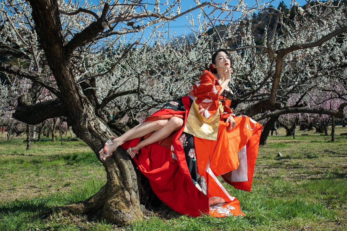 写真クリエイター : 静流 tweet media