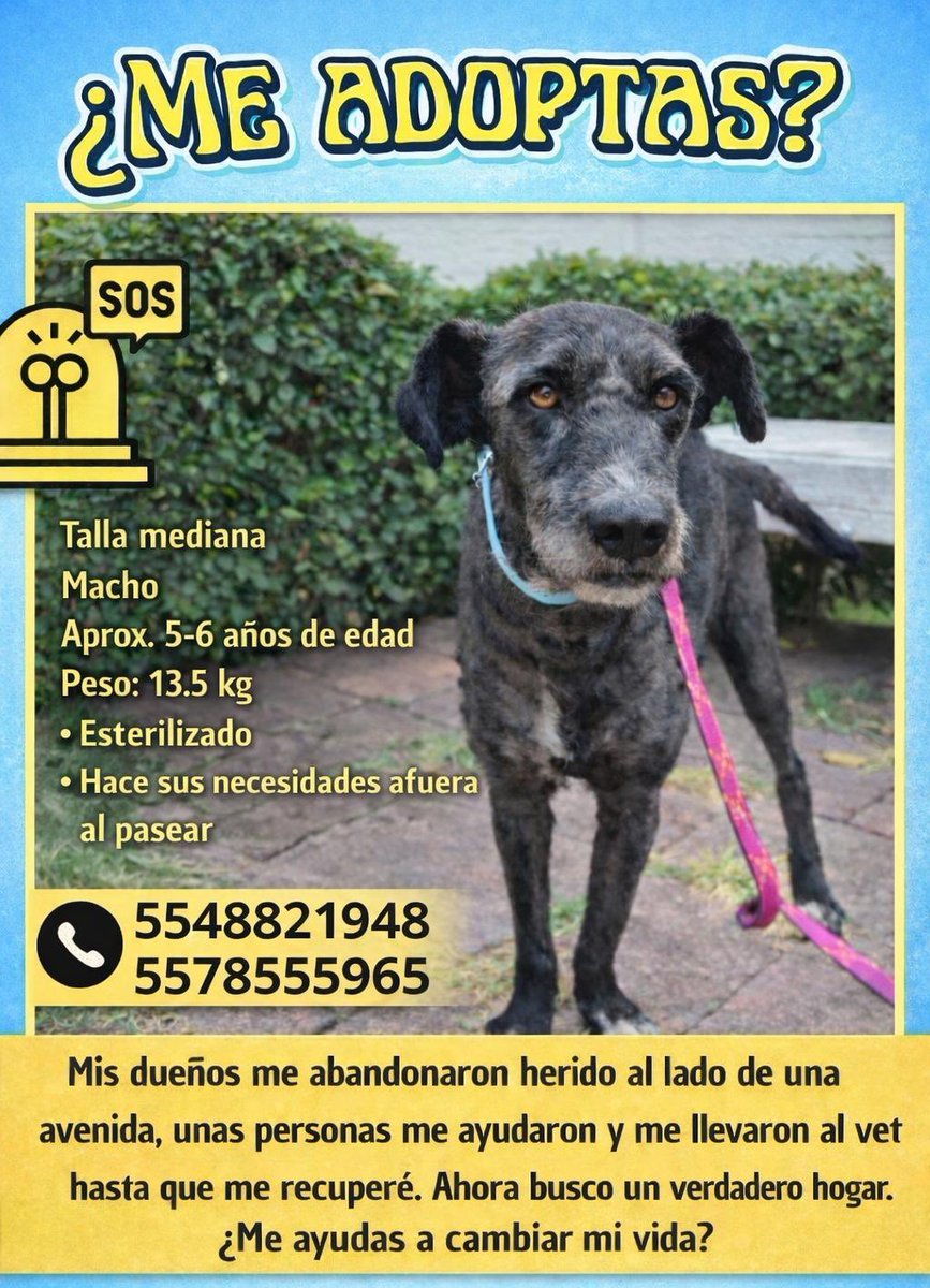 𝙷𝚎𝚕𝚊 𝙼𝚘𝚛𝚎 🐶 tweet media