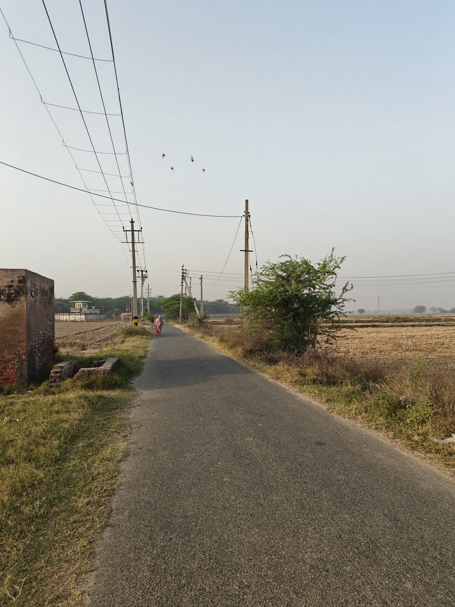 Satya1184ak's tweet image. “Aaj subah ka scene—shaanti hi shaanti 😌🌾”
.
.
.
#Sunrise #VillageLife #MorningScenes
#GaonLife #DesiVibes #Nature
#Peaceful #FreshMorning