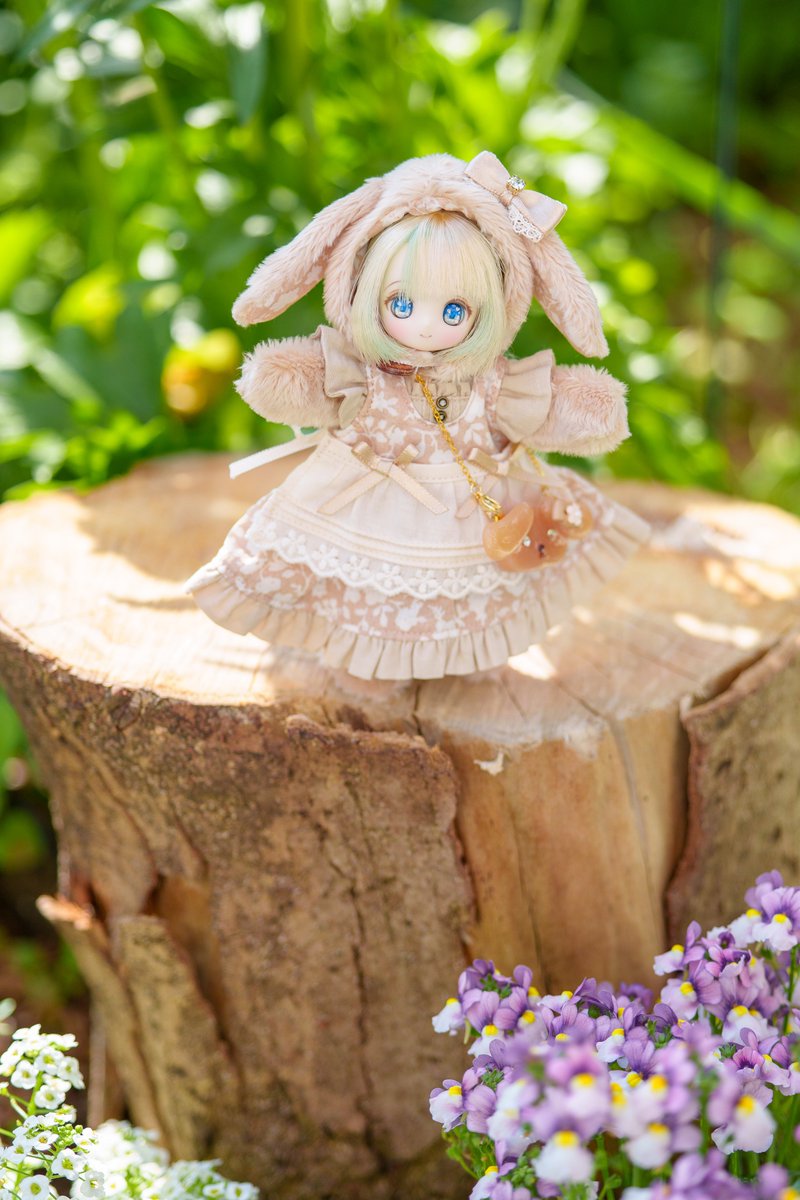 しゅたっ🪵
 #ミントミネット #シュガーカップス