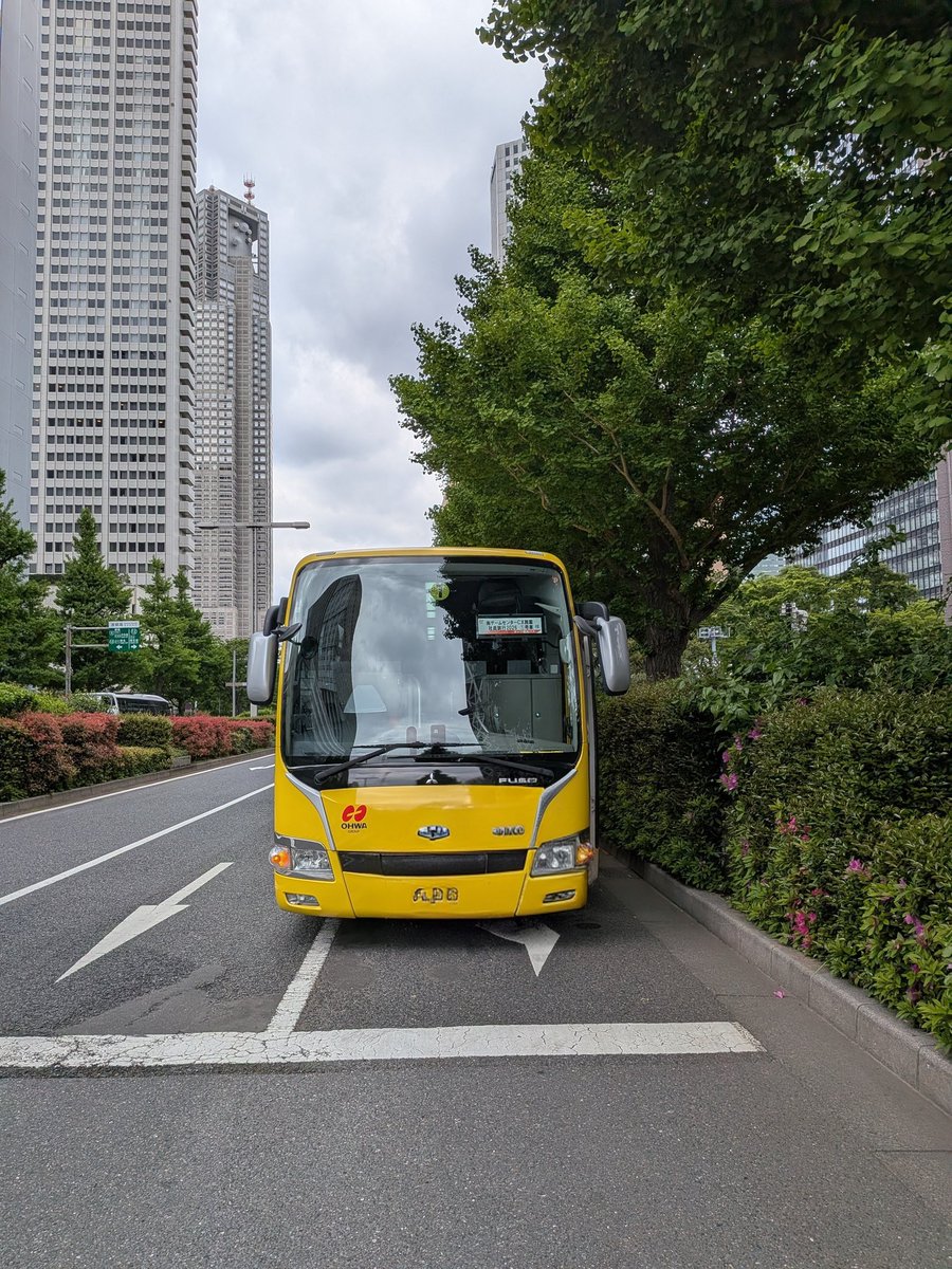 ミナッチ・Ｔ・ホーリー tweet media