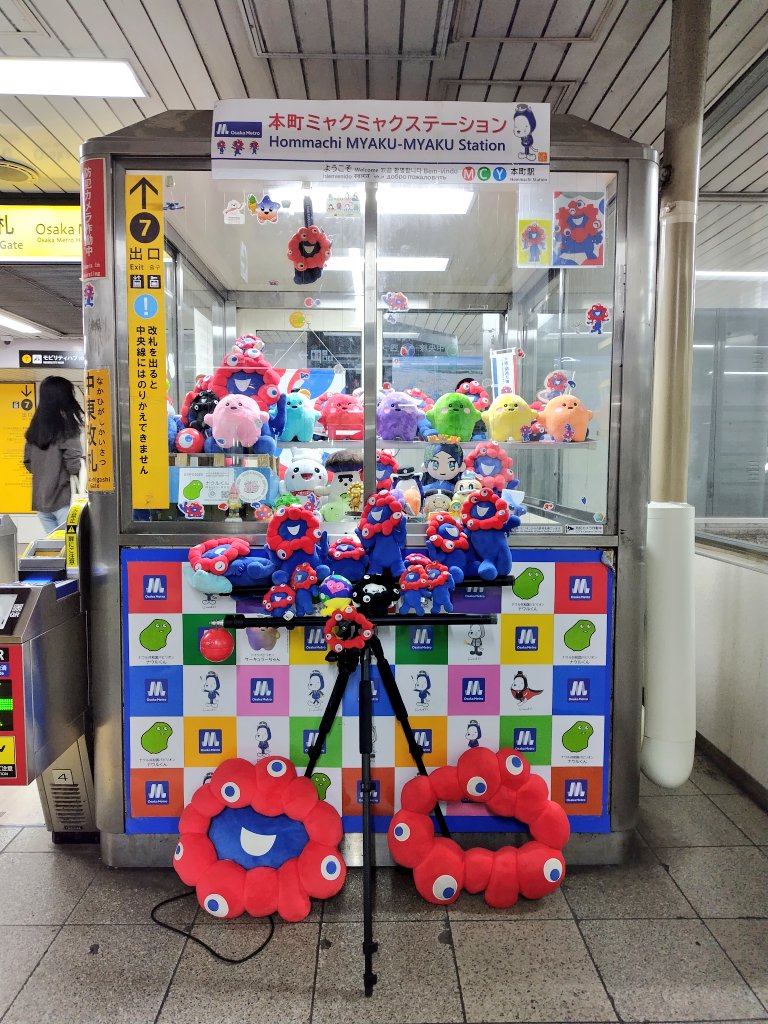 はまち!🐟写メ日記カメラマン tweet media