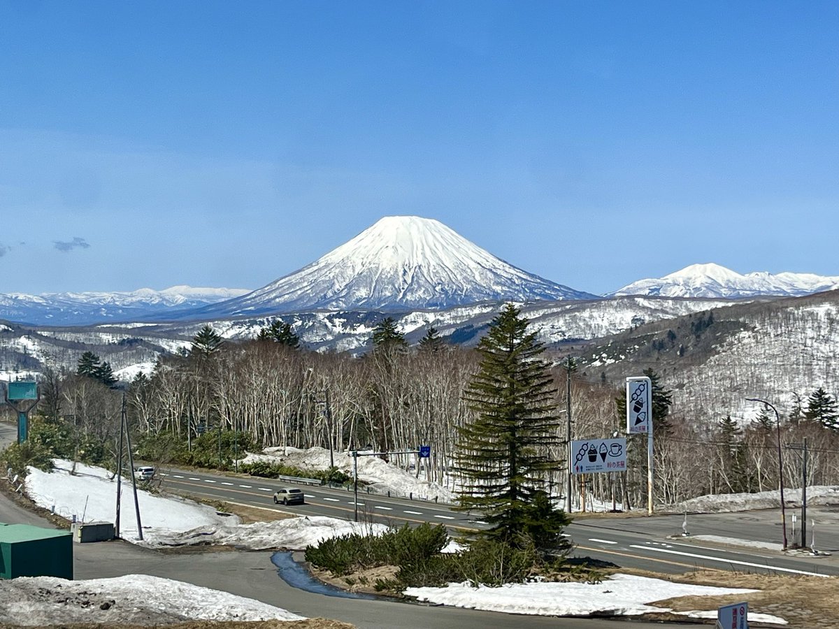 ヨルハ tweet media