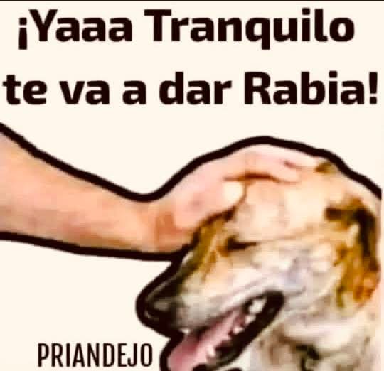 Livi🇷🇺🇵🇸🇮🇷 tweet media