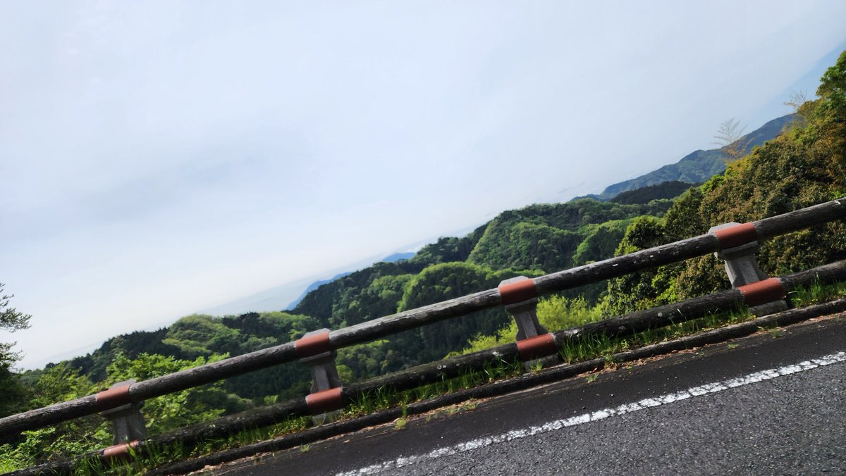 ぽん。 tweet media