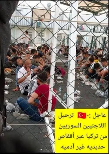 عروس النيل2 💪🇪🇬🇪🇬✌️ tweet media