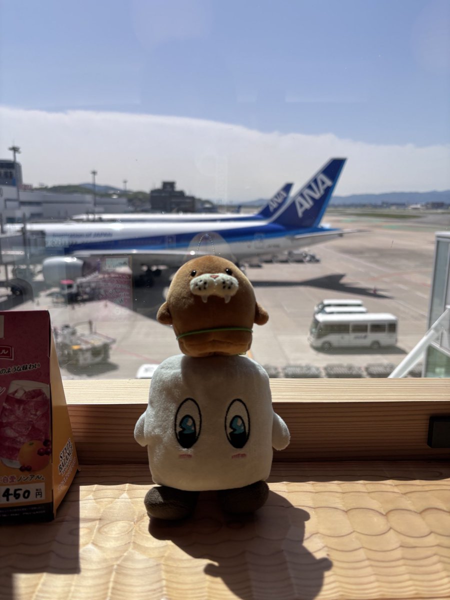 レオン tweet media