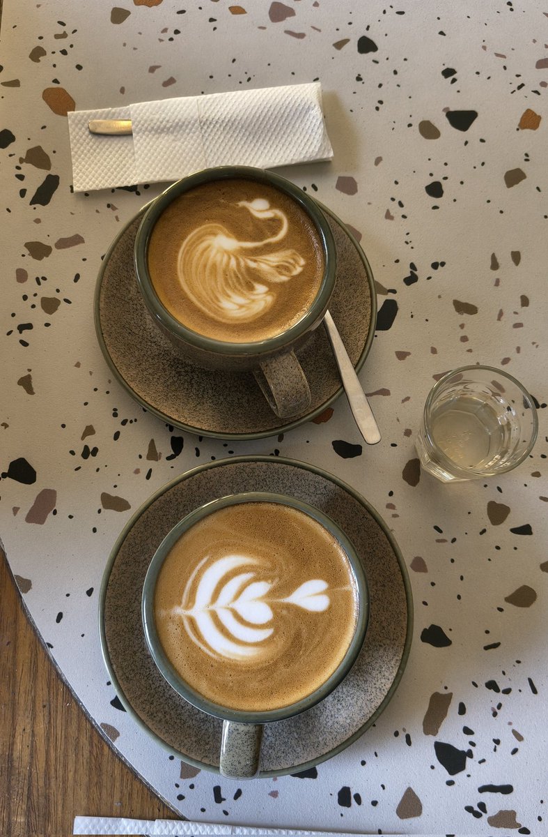 totok februarto tweet media