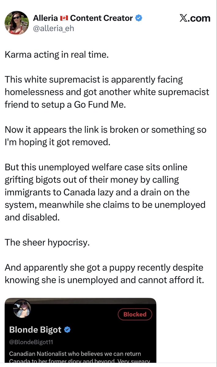 Blonde Bigot tweet media