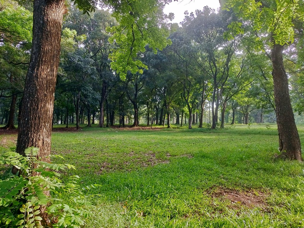 Anakin Skywalker tweet media