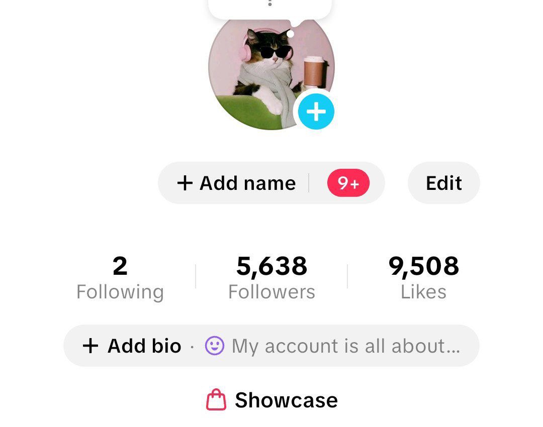 rae | tiktok account for sale tweet media